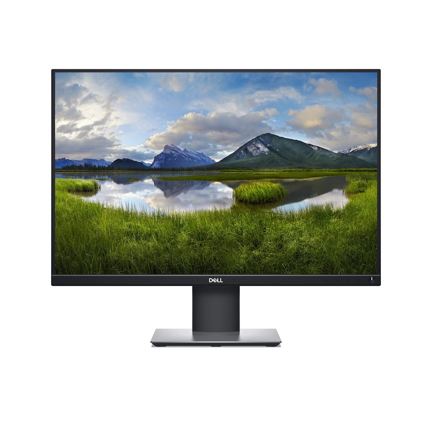 Dell P2421 - Monitor